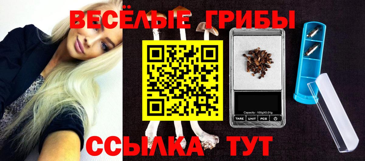 Псилоцибиновые грибы Magic Shrooms Алатырь